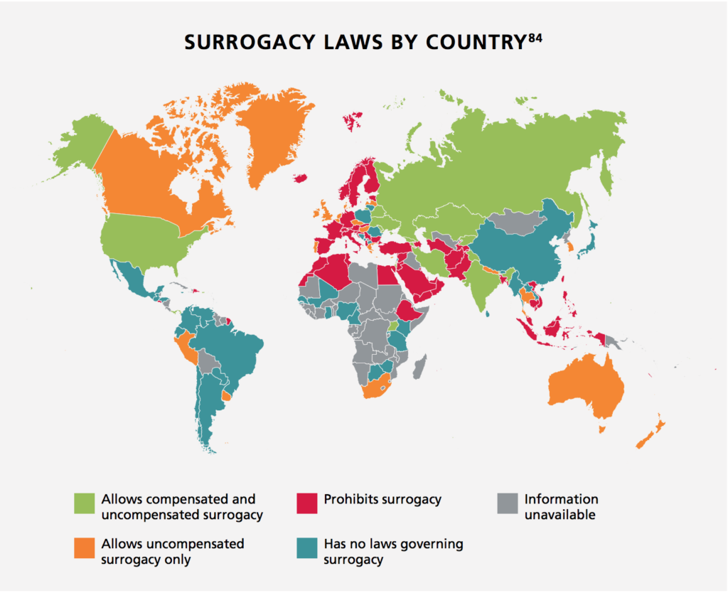 Surrogate Motherhood Motherhood Without Borders 