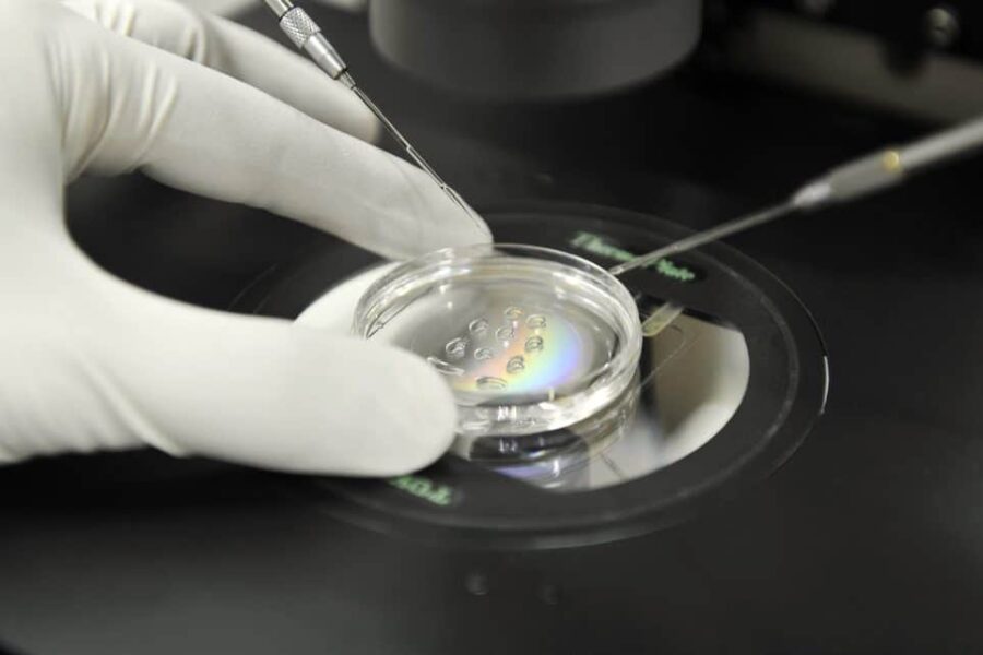 Life after embryo transfer