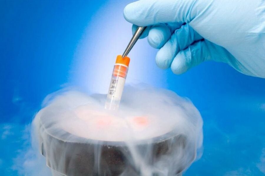 Transfering fresh embryos or frozen embryos? Which is better in surrogacy programs?