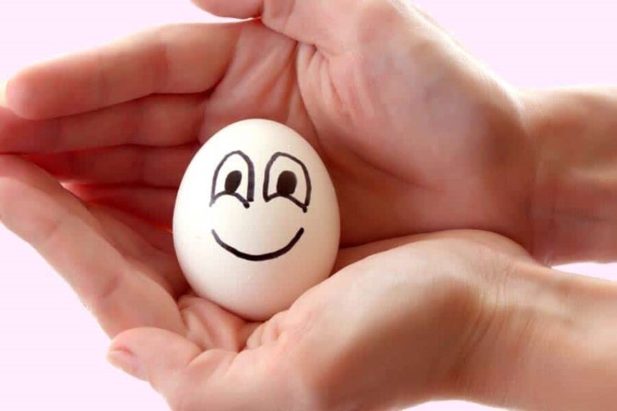 How to find an egg donor: all the ways and possibilities